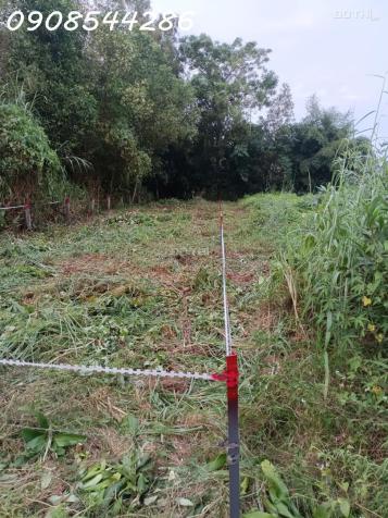 Chính chủ cần bán nền đất full thổ cư tại xã Phú Điền, Tân Phú, Đồng Nai 14634934