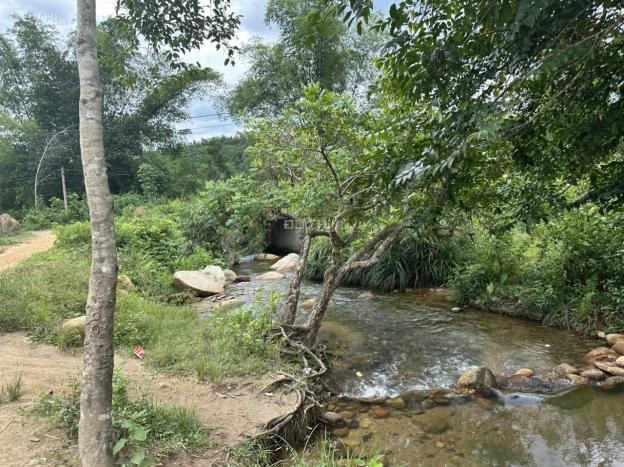 Bán đất làm Camping, Nhà Vườn, kinh doanh ăn uống ven Suối Lách giá rẻ LH 0788.558.552 14635166