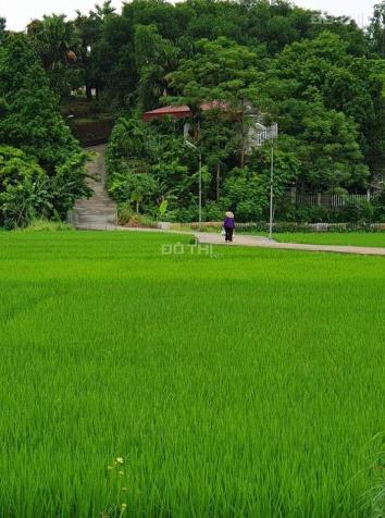 Bán mảnh đất vườn ở Đại Lai 1, Phú Xuân, tp.Thái Bình 14600015