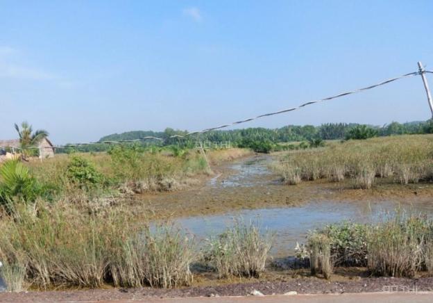 Bán đất tại Xã An Thới Đông, Cần Giờ, Hồ Chí Minh diện tích 1000m2 giá 7 Trăm nghìn/m2 14642499