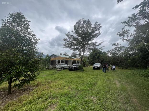 Bán vườn Bưởi, Sầu Riêng giáp Sông rộng 7 hecta đường oto huyện Khánh Vĩnh giá rẻ LH 0788.558.552 14647344