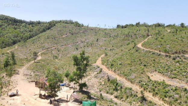 Bán 10 hecta đất làm trang trại đường oto gần trung tâm huyện Khánh Vĩnh giá chỉ 55k/m2 14647361