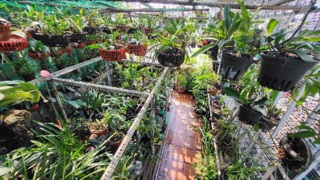 BÁN NHÀ PHỐ GIÁP BÁT  Ô TÔ TRÁNH TRƯỚC NHÀ, KINH DOANH,CHO THUÊ VP 115M2- 4T- CHỈ 16 TỶ 14647931