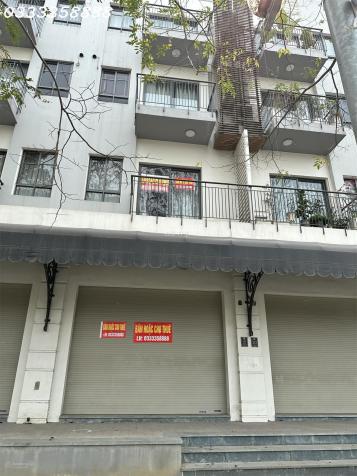 Chính chủ cắt lỗ 5 tỷ shophouse mặt đường đại lộ Chu Văn An quận Hoàng Mai 14650347