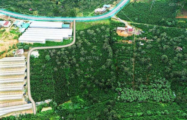 CẦN TIỀN BÁN 1.1HA LÔ ĐẤT XUÂN TRƯỜNG MT QUỐC LỘ 20 CÁCH CHỢ ĐÀ LẠT 17KM. GIÁ 35TY GIẢM CÒN 20TY 14665665