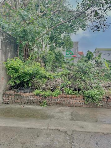 Bán đất chính chủ tại Nguyên Khê Đông Anh giá rẻ năm 2024 14667010