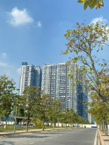 CC cần bán căn hộ 1PN 45m² tòa P2 - Pavilion Vinhomes Ocean Park Gia Lâm, Hà Nội 14675252