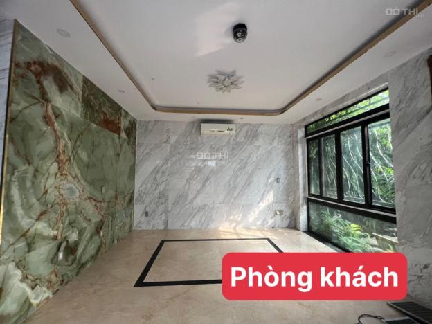 Cho thuê căn góc 2 mặt tiền biệt thự hồ bơi Nam Thông 2. Phú Mỹ Hưng quận 7 14675606