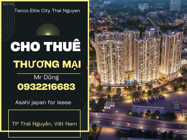 Cho thuê cửa hàng, ki ốt tại Dự án Tecco Elite City, Thái Nguyên, Thái Nguyên diện tích 3000m2 giá  14686586