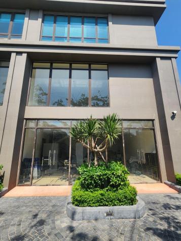 CHO THUÊ MẶT BẰNG LÀM NHÀ TRẺ ST. MORITZ 14688346