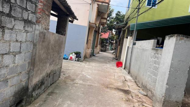 GIÁ SIÊU TỐT đất Vân Tảo Thường Tín cách 427 chỉ 200m. 14689506