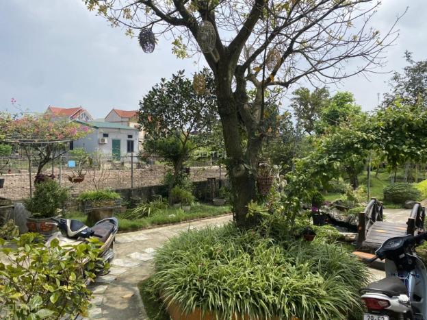 Chính chủ cần tiền bán nhà vườn tại khu du lịch sinh thái Hồng Vân - Thường Tín - Hà Nội. 14689512