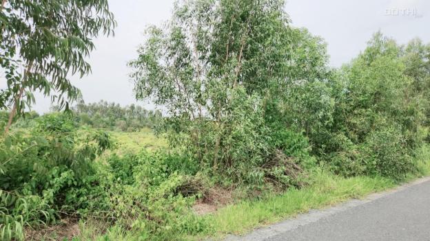 Đất vườn chanh mặt tiền lộ nhựa xe tải tới đất Tân Hiệp, Thạnh Hóa, Long An giá 65tr/1m ng 14690834