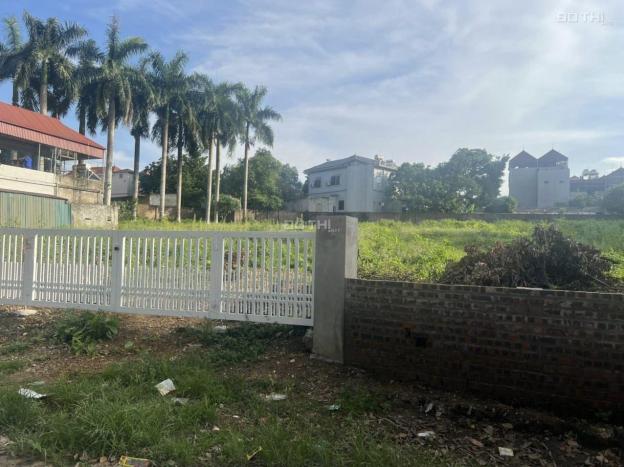 Bán đất phường Xuân Khanh thị xã Sơn Tây Hà Nội. 14698201