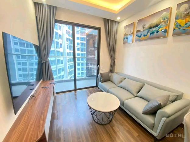 Cho thuê căn hộ 2 ngủ 65m2 tại chung cư cao cấp Hoàng Huy Commerce, Võ Nguyên Giáp. 14699080