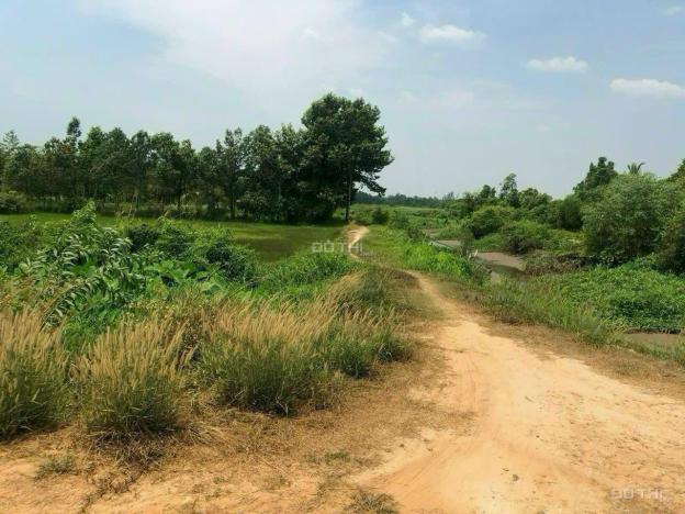 Bán đất Củ Chi, lô đất mặt tiền đường kênh, dt 4.213m2 đất vườn, xã An Phú 14704903