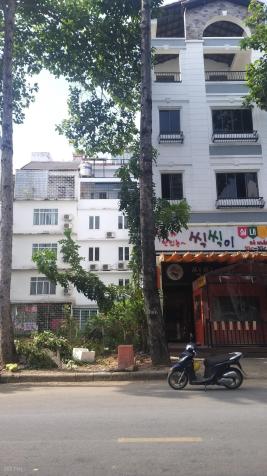 Nhà 1 hầm+ 3 tầng, 5PN 6WC. Đường Hưng Gia 2, Phường Tân Phong, Quận 7 14707977