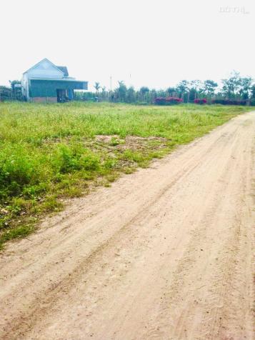 Bán đất tại Xã Ea Kly, Krông Pắc, Đắk Lắk, 6000m2 giá 1.6 Tỷ 14713249