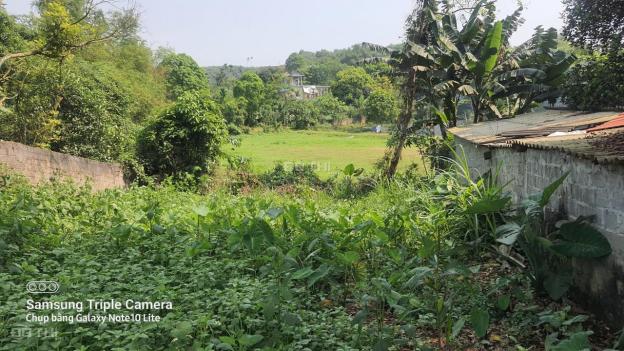 Bán gấp 546,6m2 đất thổ cư bám mặt nhựa liên xã tại Cao Dương, Lương Sơn, Hòa Bình 14714613