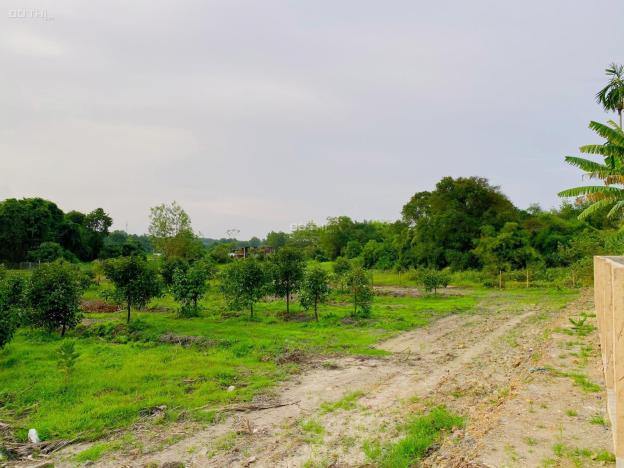 Bán đất Củ Chi, lô đất MT đường nhựa Nguyễn Thị Dòn, 3.838m2, có 150m thổ cư, xã Nhuận Đức. 14714626