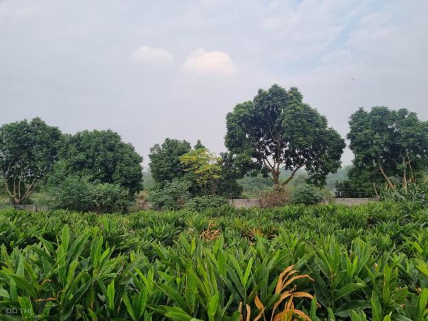 Bán nhanh 2852m2 đất thổ cư giá rẻ nằm ngay cạnh sân golf Skylake tại  Lương Sơn, Hòa Bình. 14714644