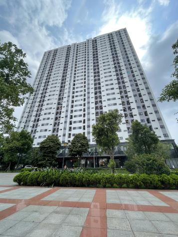 Chính chủ bán căn hộ 2 ngủ 52m² rẻ nhất dự án Hoang Huy Lạch Tray, Đổng Quốc Bình. LH: 0989.099.526 14720797