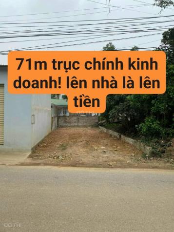 ĐẤT MẶT ĐƯỜNG KINH DOANH RẺ NHƯ ĐẤT TRONG NGÕ 14723255