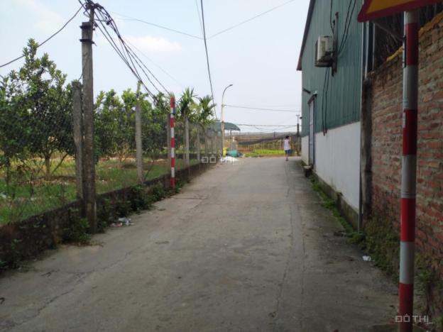 Cần chuyển nhượng nhà Vườn trang trại chăn nuôi tại thôn Tiền Lệ - Tiền Yên - Huyện Hoài Đức 14730387
