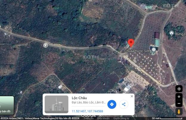 Cần bán 2 lô đất cafe  hẻm Lê Thị Riêng, Thôn 2, Lộc Châu, Bảo Lộc 14734445
