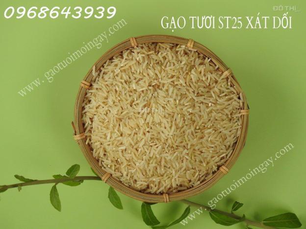 Gạo XÁT DỐI ST25 lúa tôm – Nguồn dinh dưỡng bị lãng quên, Miễn Phí Giao Hàng Toàn Quốc 14734710