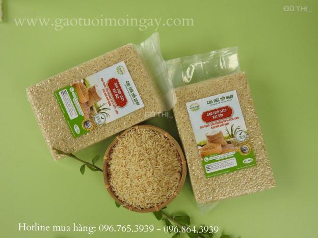 Gạo XÁT DỐI ST25 lúa tôm – Nguồn dinh dưỡng bị lãng quên, Miễn Phí Giao Hàng Toàn Quốc 14734710