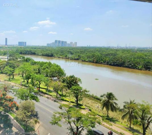 Bán căn hộ The Panorama, trung tâm Phú Mỹ Hưng 166m2 3PN view sông 14741515