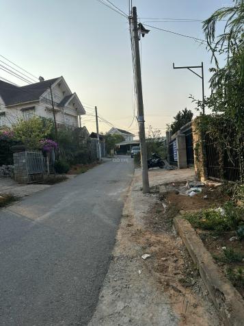 Bán đất mặt tiền đường nhựa Vạn Hạnh, P8, Đà Lạt 313m2 14742846