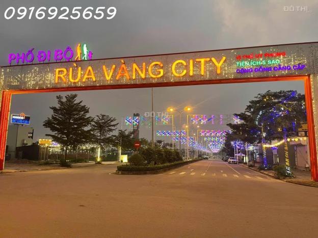 Bán đất ở đô thị Rùa Vàng, thị trấn Vôi, Lạng Giang, Bắc Giang, giá đầu tư 14747402