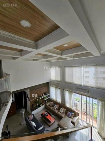 Bán Penthouse chung cư MỸ KHANG, Phú Mỹ Hưng, Quận 7 Giá Đầu Tư 14755569