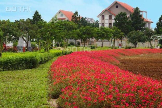 Bán ô biệt thự 400m2 dự án The Phoenix Garden, Đan Phượng - Giá 5x tr/m2 14772155