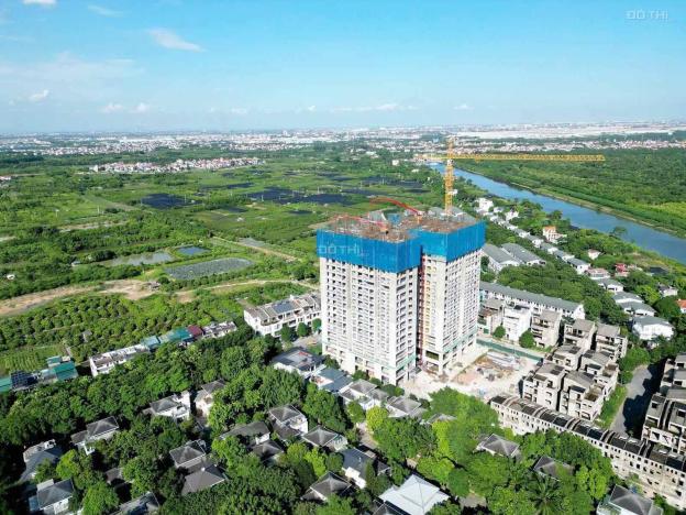 Siêu bão Yagi qua đi, SIÊU PHẨM Fibonan vẫn hiên ngang và toả sáng 14786425