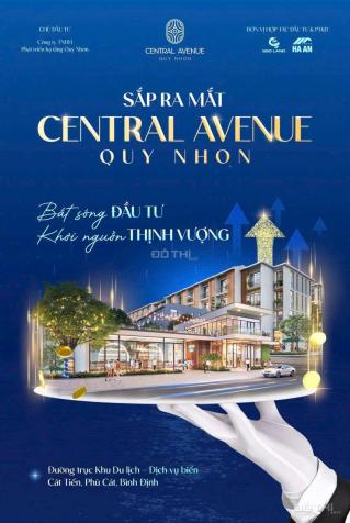 Dự án Central Avenue – Khu kinh tế Nhơn Hội 14786707