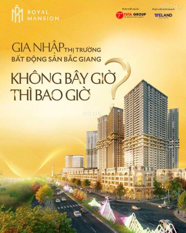 Bán Shophouse Dự Án Royal Mansion Vị Trí Độc Tôn, Trung Tâm Ngã 6 Bắc Giang. 14800230