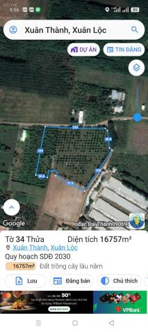 Bán 1,6ha Đất Tại Xuân Thành, Xuân Lộc - Vị Trí Đẹp Đường Lớn 14820702