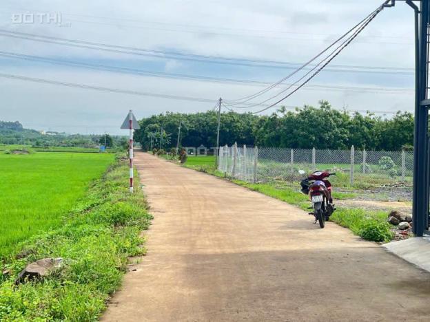 CHỦ KẸT TIỀN CẦN BÁN GẤP LÔ ĐẤT 100M2 TẠI GIA TÂN - VỊ TRÍ ĐẸP, SỔ HỒNG RIÊNG 14834706