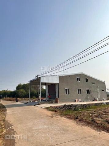 CHỦ KẸT TIỀN CẦN BÁN GẤP LÔ ĐẤT 100M2 TẠI GIA TÂN - VỊ TRÍ ĐẸP, SỔ HỒNG RIÊNG 14834706