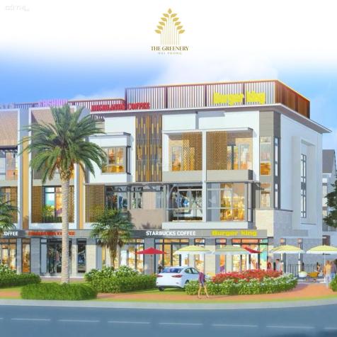 Dự án mới giá gốc chủ đầu tư The Greenery Hải Phòng, ngay chân cầu Nguyễn Trãi. Giá cực tốt 14838142