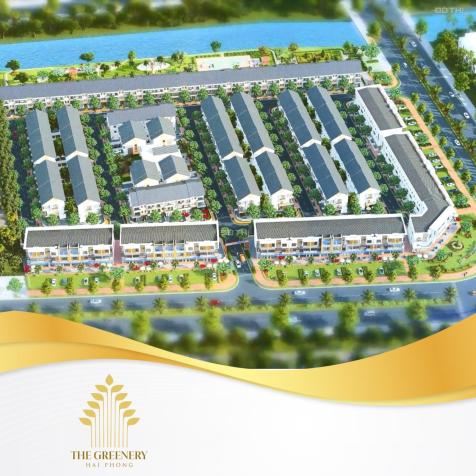 Dự án mới giá gốc chủ đầu tư The Greenery Hải Phòng, ngay chân cầu Nguyễn Trãi. Giá cực tốt 14838142