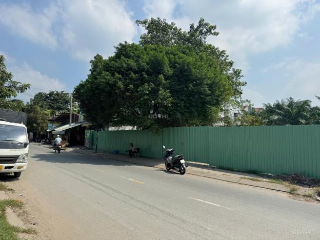 Bán đất tại Đường Thới Tam Thôn 18, Xã Thới Tam Thôn, Hóc Môn, Hồ Chí Minh diện tích 5538.7m2 giá 1 14839615