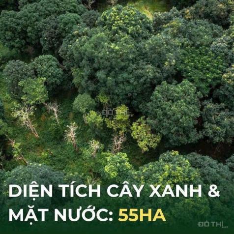 🌟🌿 𝐄𝐂𝐎 𝐑𝐄𝐓𝐑𝐄𝐀𝐓 LONG AN – THIÊN ĐƯỜNG SỐNG XANH TIÊU CHUẨN BLUE ZONES 14841850