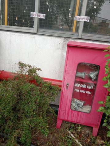 CHO THUÊ NHÀ XƯỞNG TẠI KCN ĐẠI ĐỒNG. TỪ SƠN. BẮC NINH 14842042