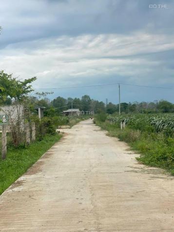 Bán vườn thanh long ruột đỏ, Khu vực đá quý Xã Hồng Liêm, Huyện Hàm Thuận Bắc, Bình Thuận 14842127