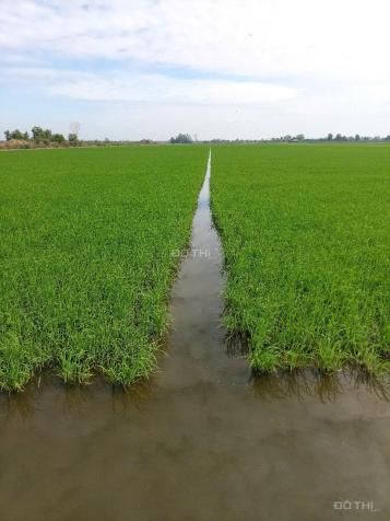 Cần bán gấp 4,5 ha đất tại xã Vĩnh Bình, Huyện Vĩnh Hưng 14847682
