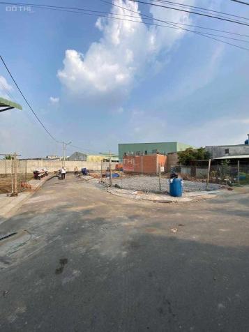 Bán gấp lô 2 tỷ hơn đất cho con đi du học nước ngoài 14848019